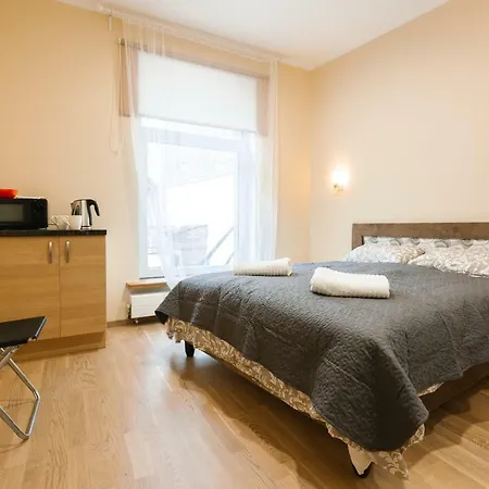 Friendly Space 1 On Blaumana Iela Apartment